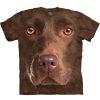 T-Shirts The Mountain | Chocolate Lab Face Classic Cotton T-Shirt